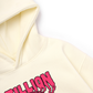 Áo Hoodie Nỉ Hai Da Brain