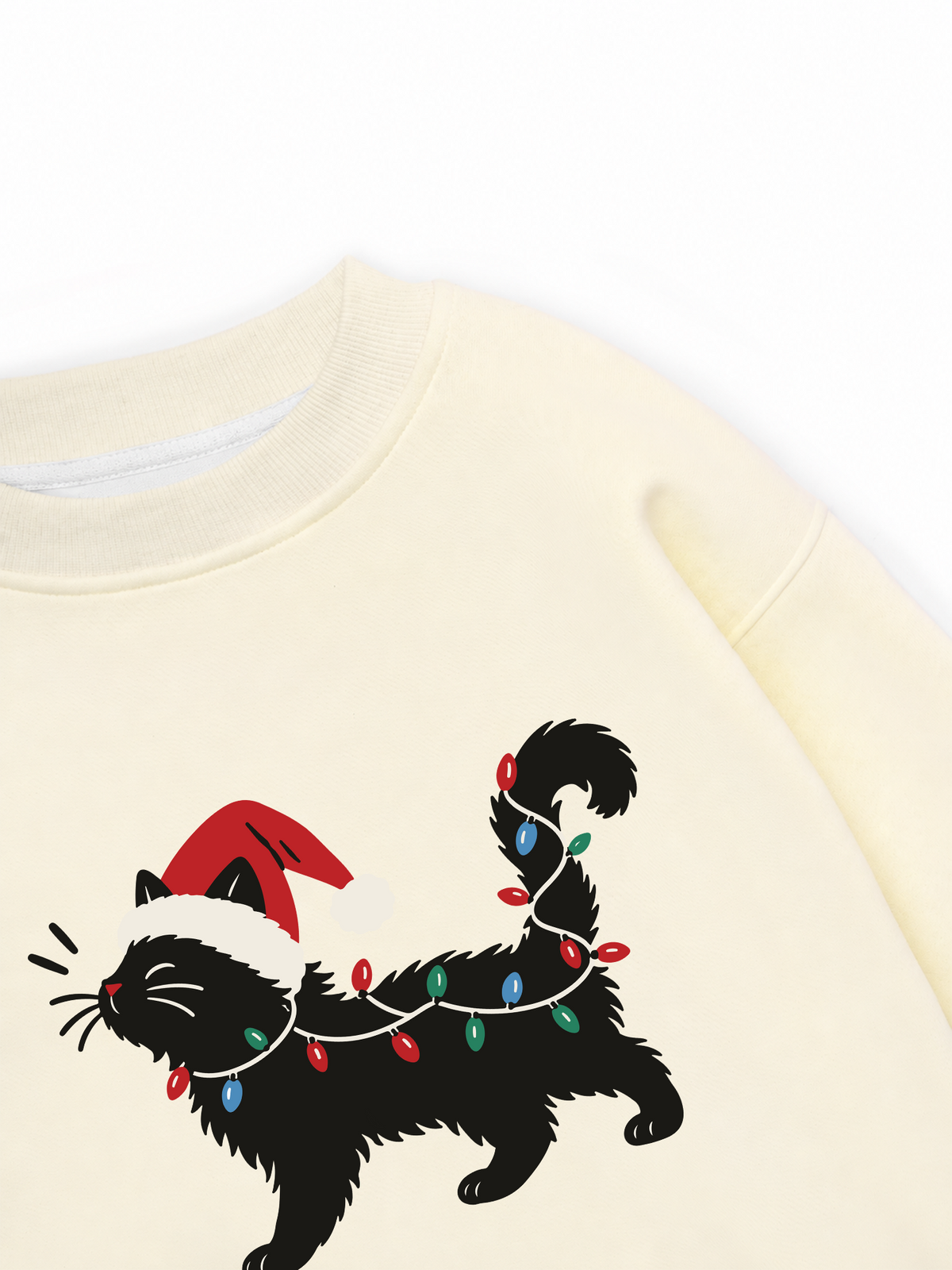 Áo Sweater Nỉ Hai Da Santa Catty