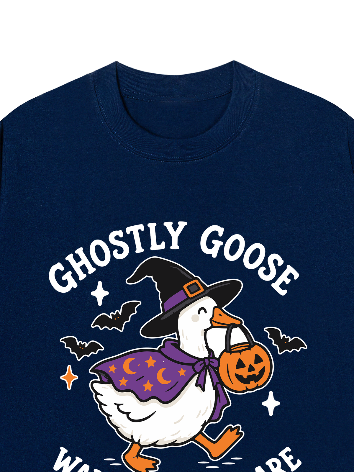 Áo Thun Relaxed Fit Ghostly Goose