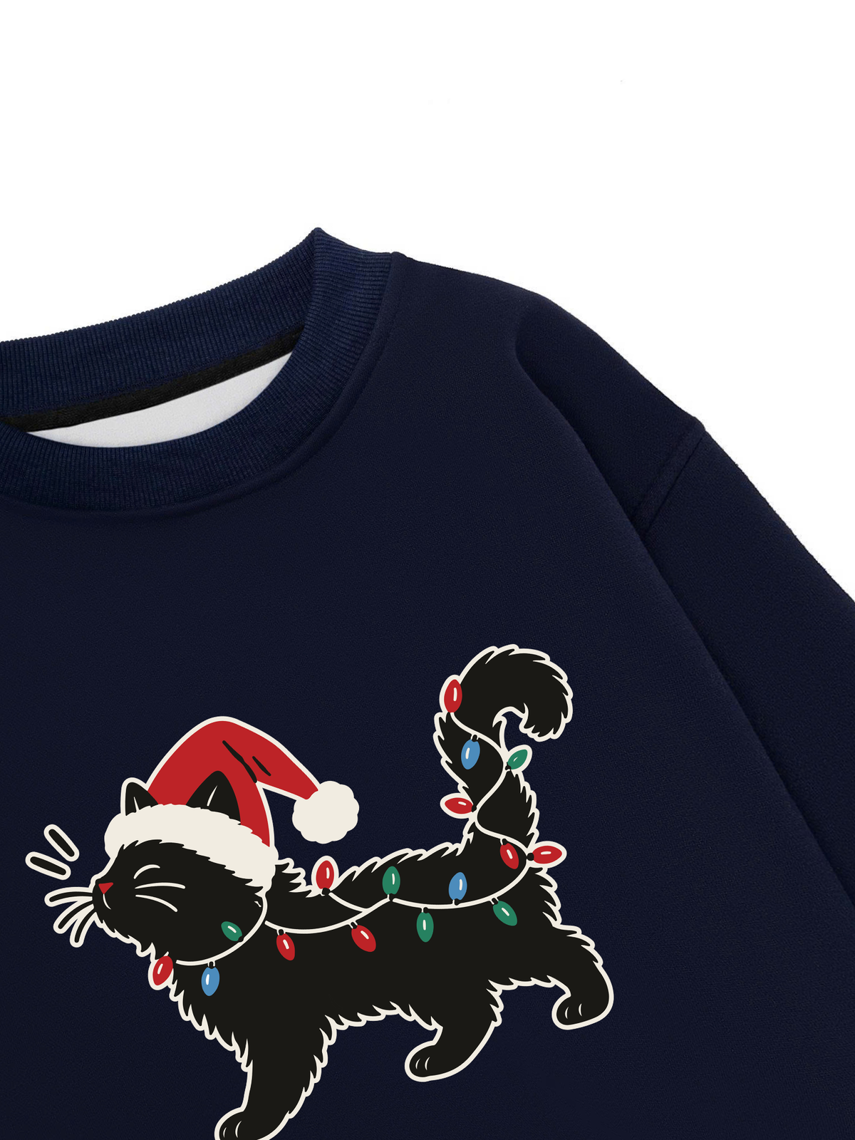 Áo Sweater Nỉ Hai Da Santa Catty