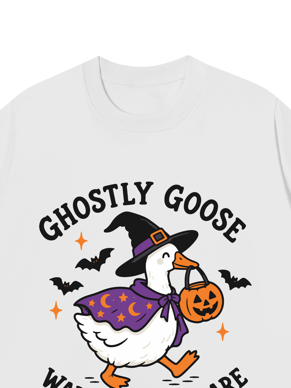 Áo Thun Relaxed Fit Ghostly Goose