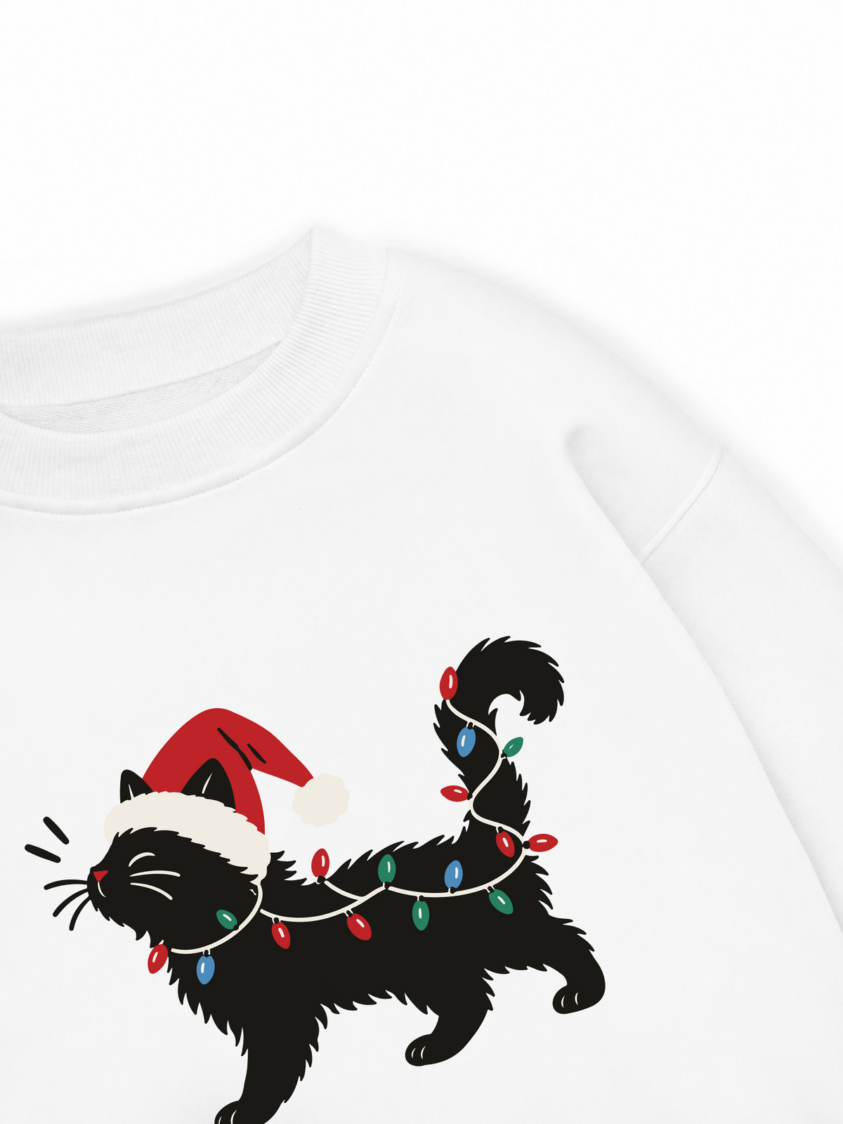 Áo Sweater Nỉ Hai Da Santa Catty