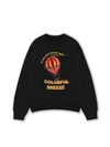 Áo Sweater Nỉ Hai Da Colorful Breeze