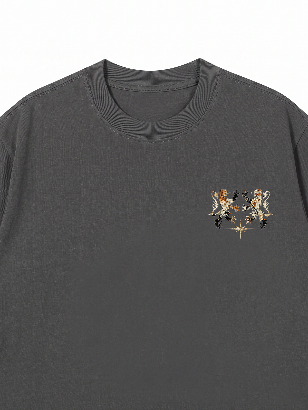 Áo Thun Relaxed Fit Noble Guardians