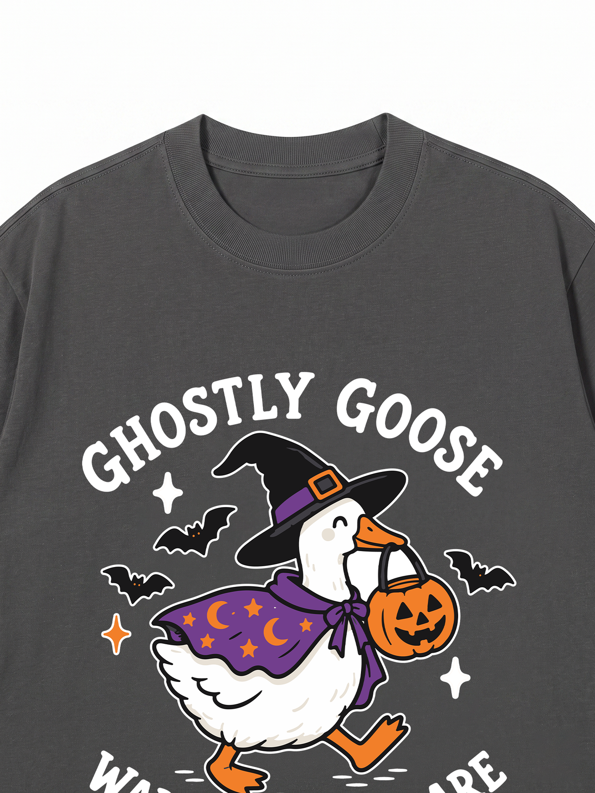 Áo Thun Relaxed Fit Ghostly Goose