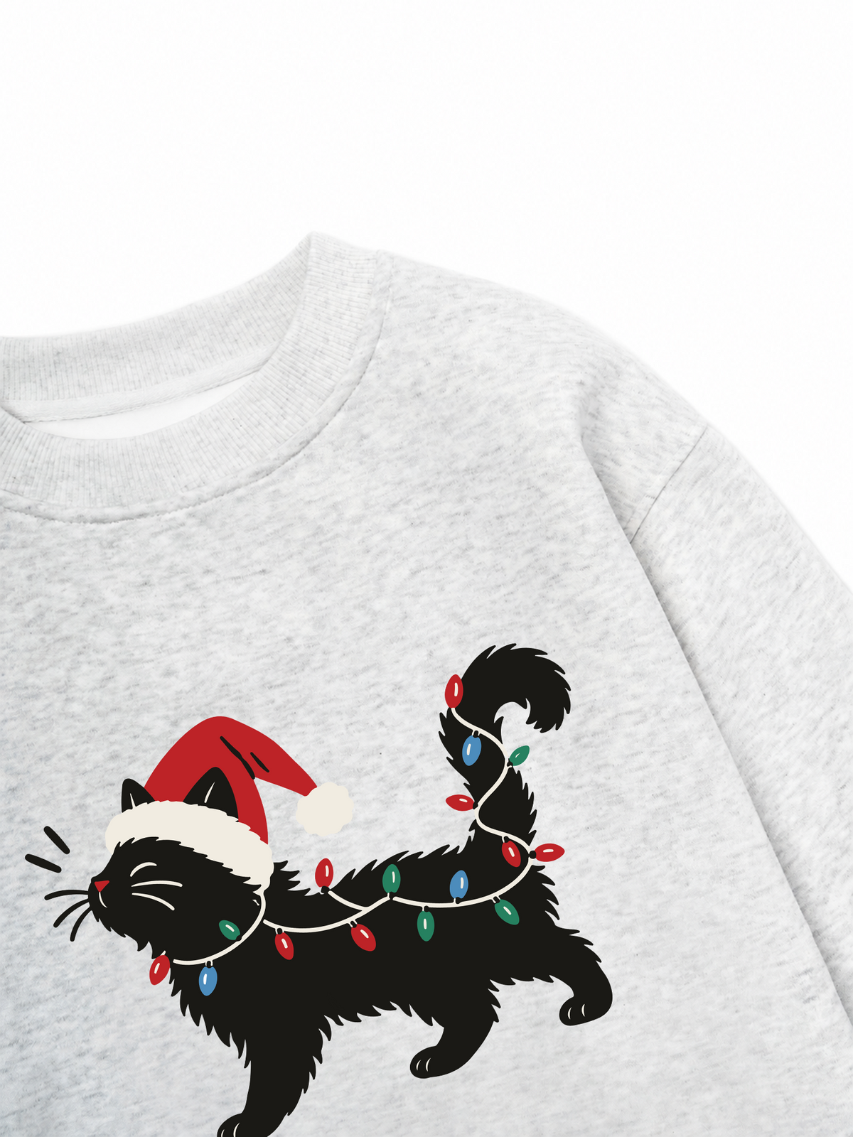 Áo Sweater Nỉ Hai Da Santa Catty