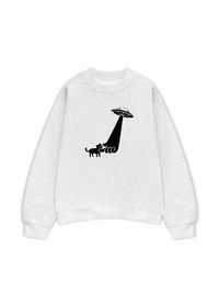 Áo Sweater Nỉ Hai Da Ufo cute
