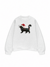 Áo Sweater Nỉ Hai Da Santa Catty
