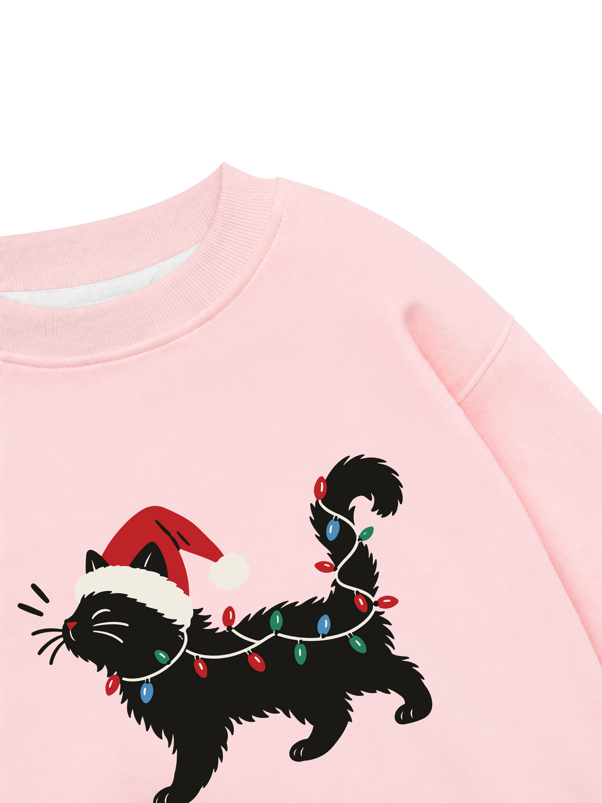 Áo Sweater Nỉ Hai Da Santa Catty