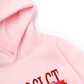 Áo Hoodie Nỉ Hai Da Car Veloci GT F40