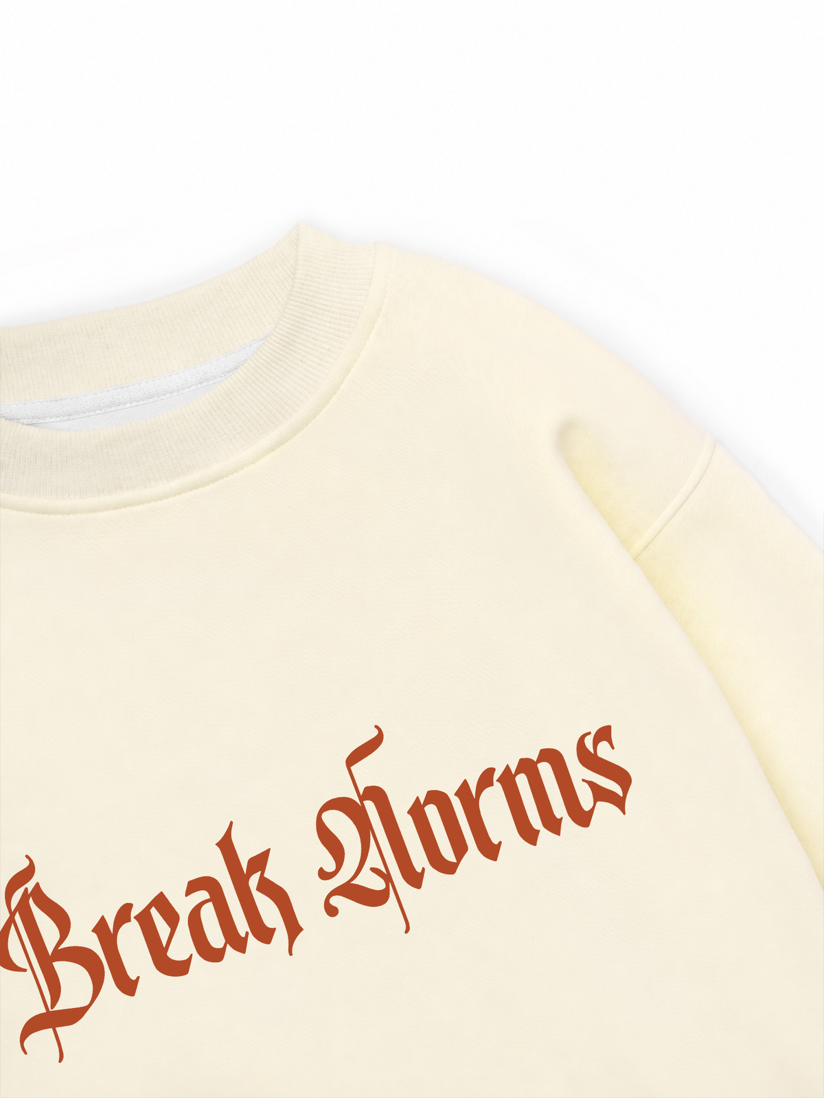 Áo Sweater Nỉ Hai Da Break Norms