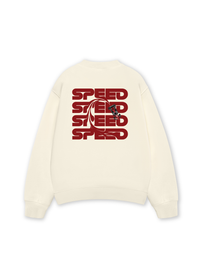 Áo Sweater Nỉ Hai Da Car Speed