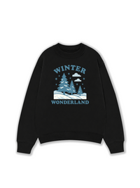 Áo Sweater Nỉ Hai Da Winter