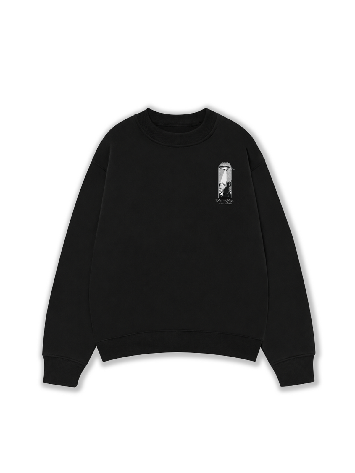 Áo Sweater Nỉ Hai Da Cosmic Visitor