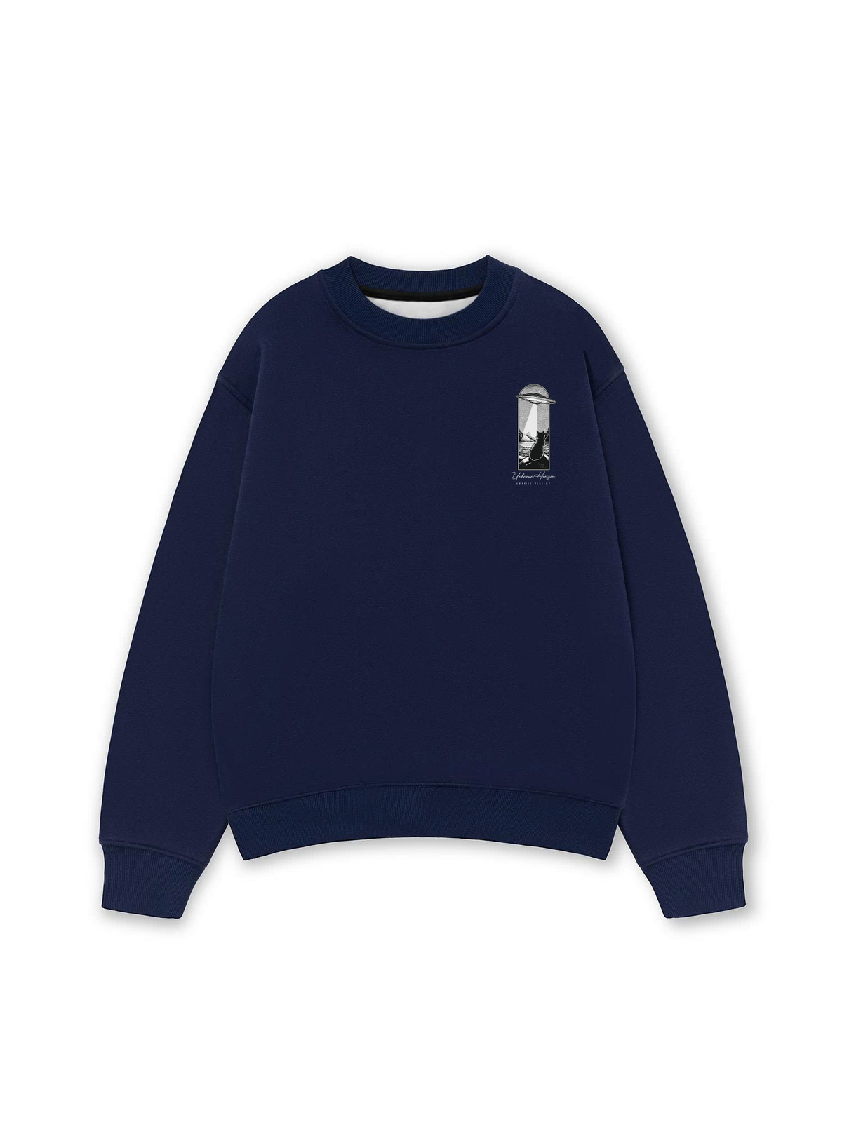 Áo Sweater Nỉ Hai Da Cosmic Visitor