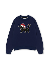 Áo Sweater Nỉ Hai Da Santa Catty