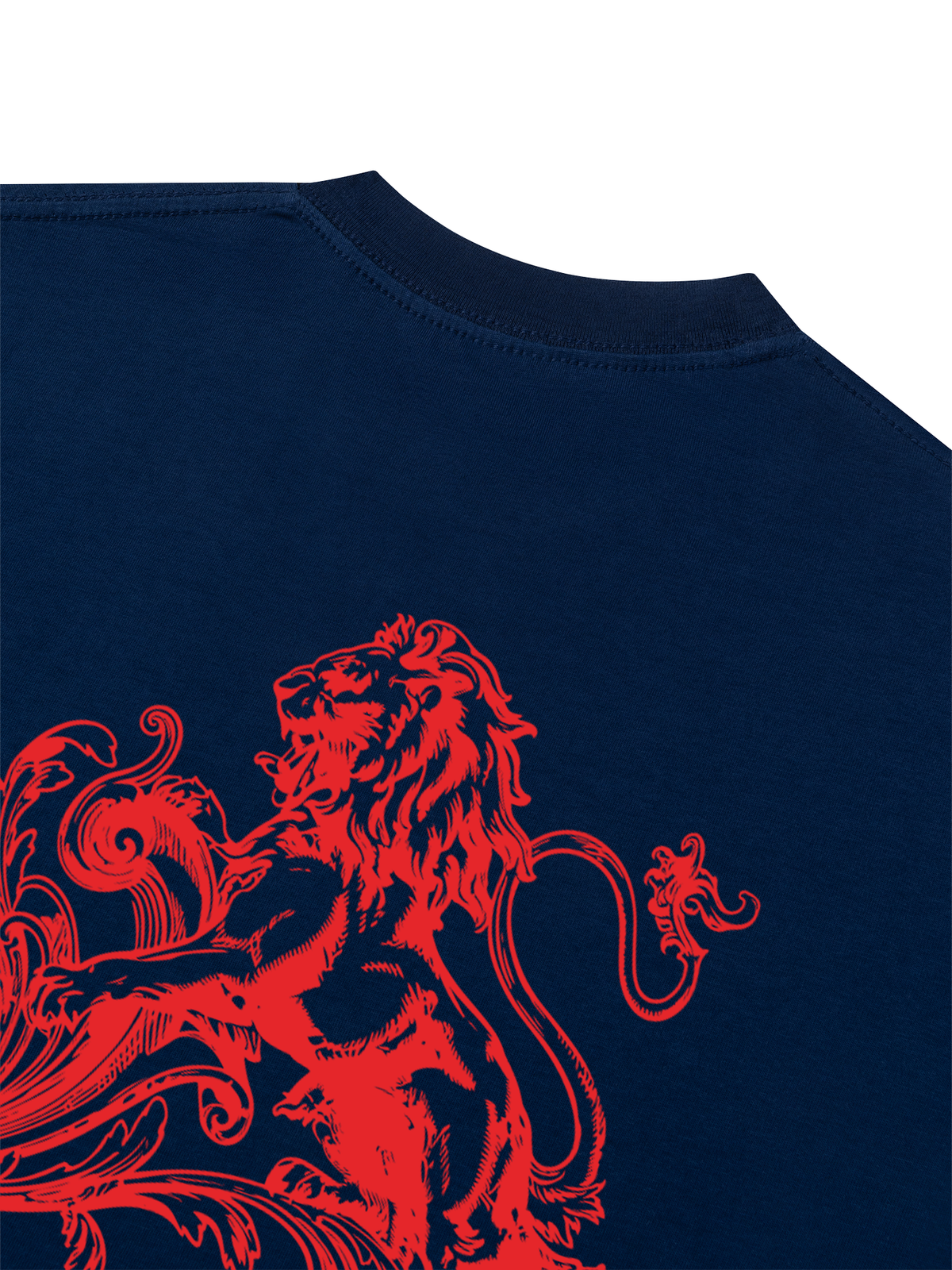 Áo Thun Boxy Hidden Meaning Red Dragon