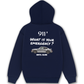 Áo Hoodie Nỉ Hai Da Car What Is Your Emergency