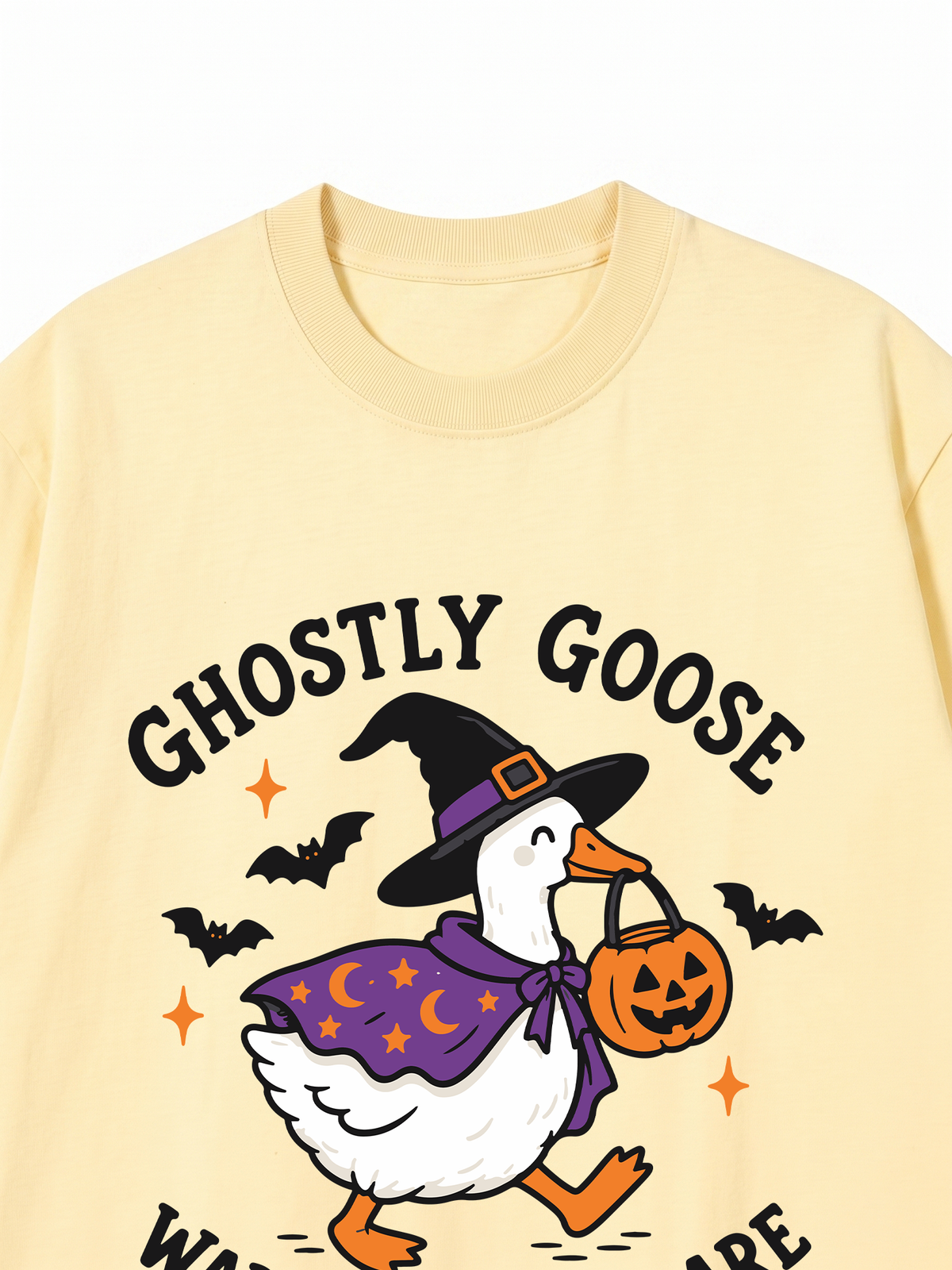 Áo Thun Relaxed Fit Ghostly Goose